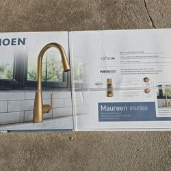 Moen Maureen 87493BG Kitchen Faucet