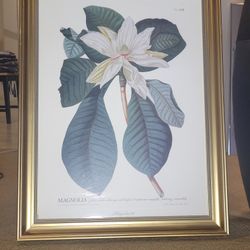 Floral Picture 28×21