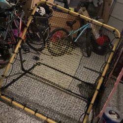 Bounce Back For Multiple Sports