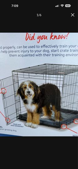 BIG DOG CAGE