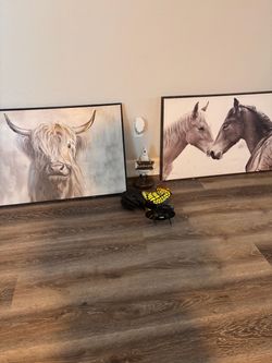 Highland Cow and Horse Canvas Wall Art Set