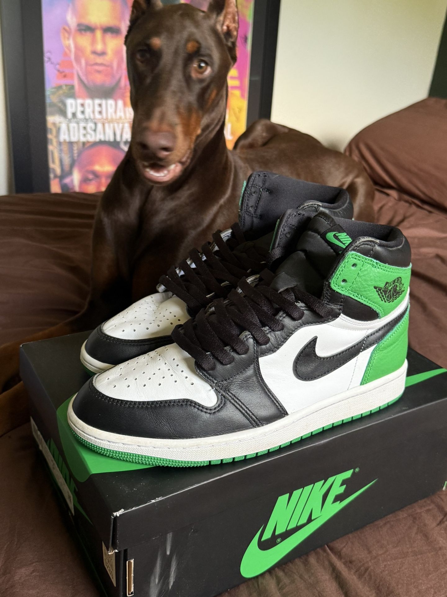 Jordan 1