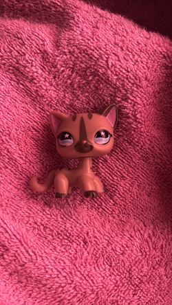 Littlest pet shop gray short haired cat #1206
