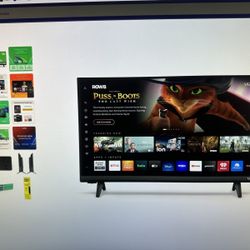 Vizio D-Series 24” Class Smart TV