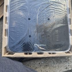 Body Trace Weight Scale 