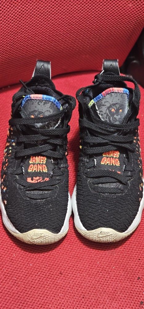 Lebron 17 James Gang 