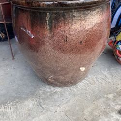 Assorted Vases  For Plants  