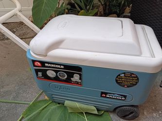 Igloo cooler