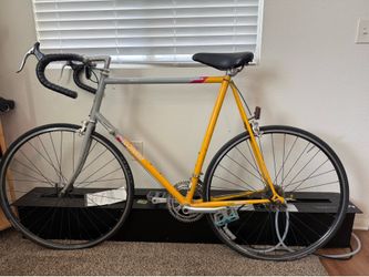 Raleigh Technium Scott Tinley Tri-Lite Road Bike