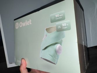 Owlet