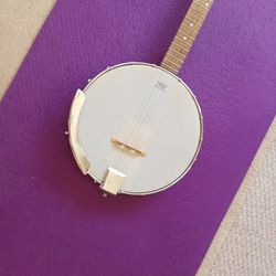 Epiphone 5 String Banjo 