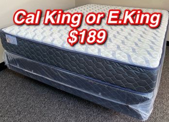 King supreme ortho Matres!