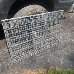 Big dog cage