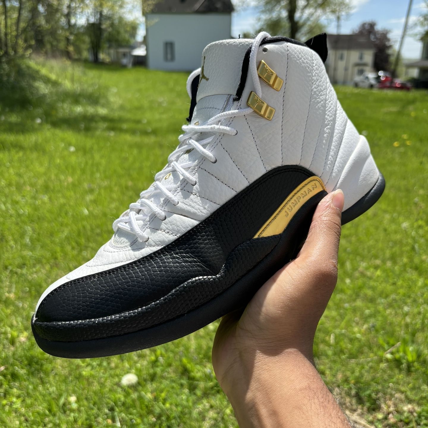 Jordan 12 Royalty