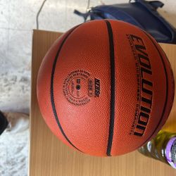 Wilson Basketball (Evolution)