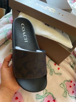 coach slides