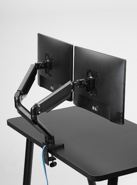 Monitor Dual Arm