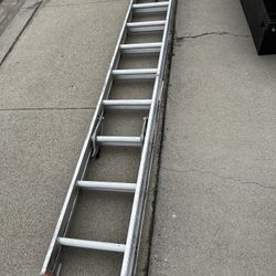 Louisville Double Ladder