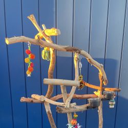 Gnarly Macaw  Cockatoo Perch Tree …. Hard Durable Ribbon Wood 🪵 Lasts For Years !! 👍🏼