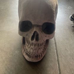 Halloween Decor 