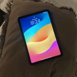 iPad Mini 6th Generation 256gb WiFi Only 