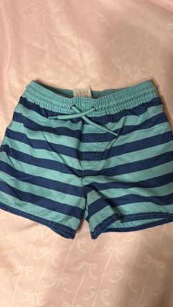 2T Swim Shorts