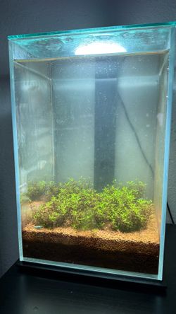 UNS 20T Aquarium