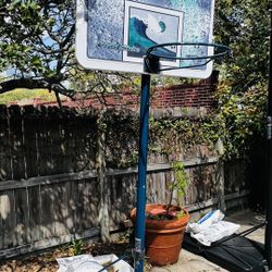 Cheap Pool Hoops 