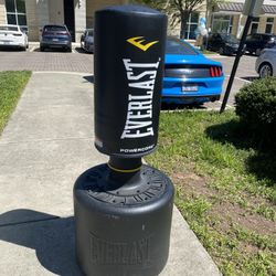 Everlast Power Core Freestanding Punching Bag 