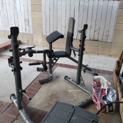 Golds Gym Bench 