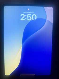 iPad 11 inch Pro (M4) 2024 256GB