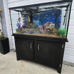 Fish Tank