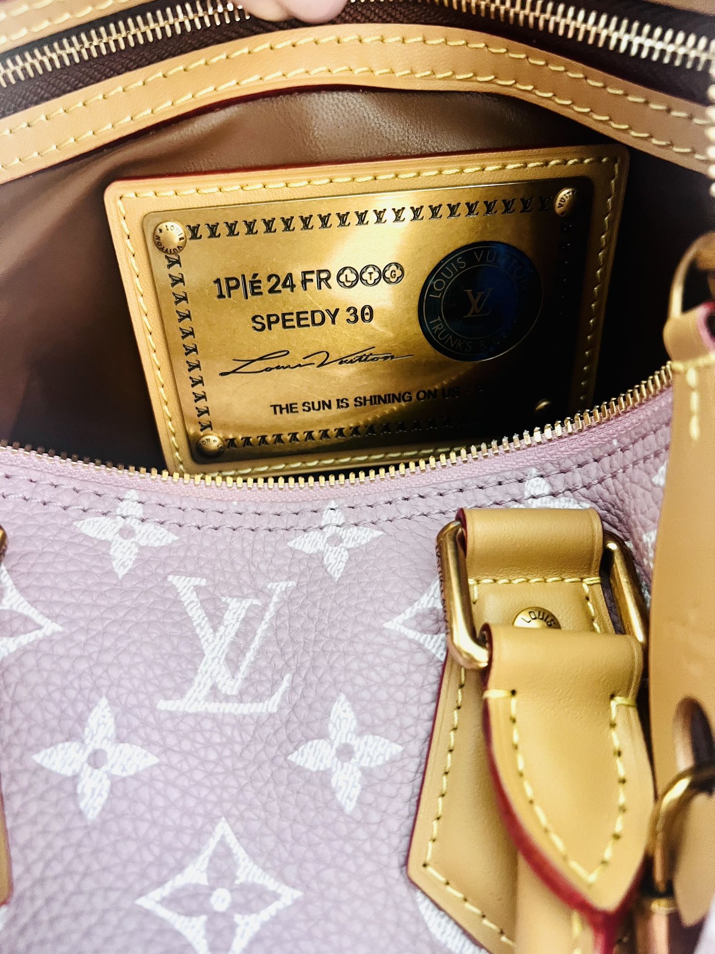 Louis Vuitton Speedy 30