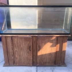 Fish Tank Or Aquarium