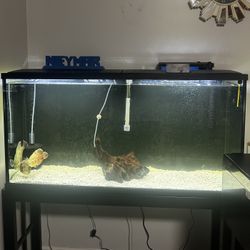Aquarium And Stand 