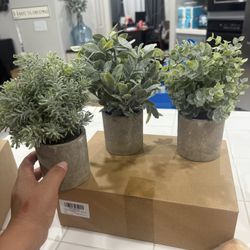 3 Small Artificial Plants 🪴 $10 All 3