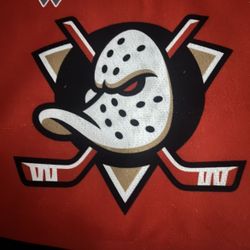 Ducks vs Edmonton 1 Ticket (April 30)