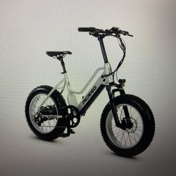 Electric Bike 