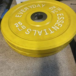 25lb pair bumper plates