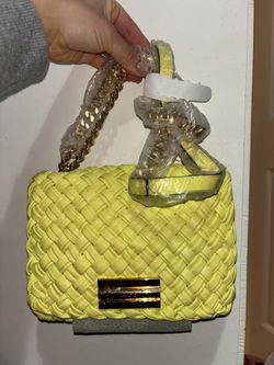 New ALDO Purse