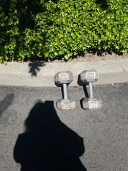 2 45 Lb Weights. Pick up Only
