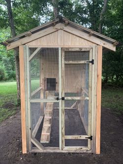 Chicken Coop ‘s