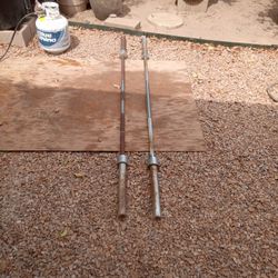 Bench Press Bars