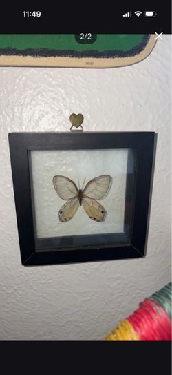 Butterfly decor