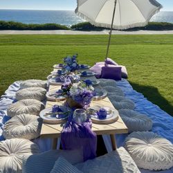 Theme Party/ Beach/Picnic Decoration