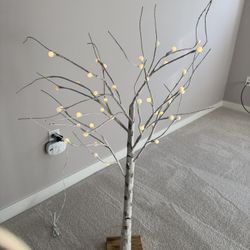 Lighted Tree