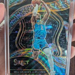 2023-24 Panini Select SHAI GILGEOUS-ALEXANDER COURTSIDE ELEPHANT PRIZM SSP #257