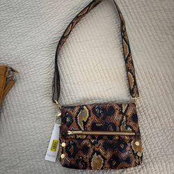 Hammitt Snake Skin Purse New 