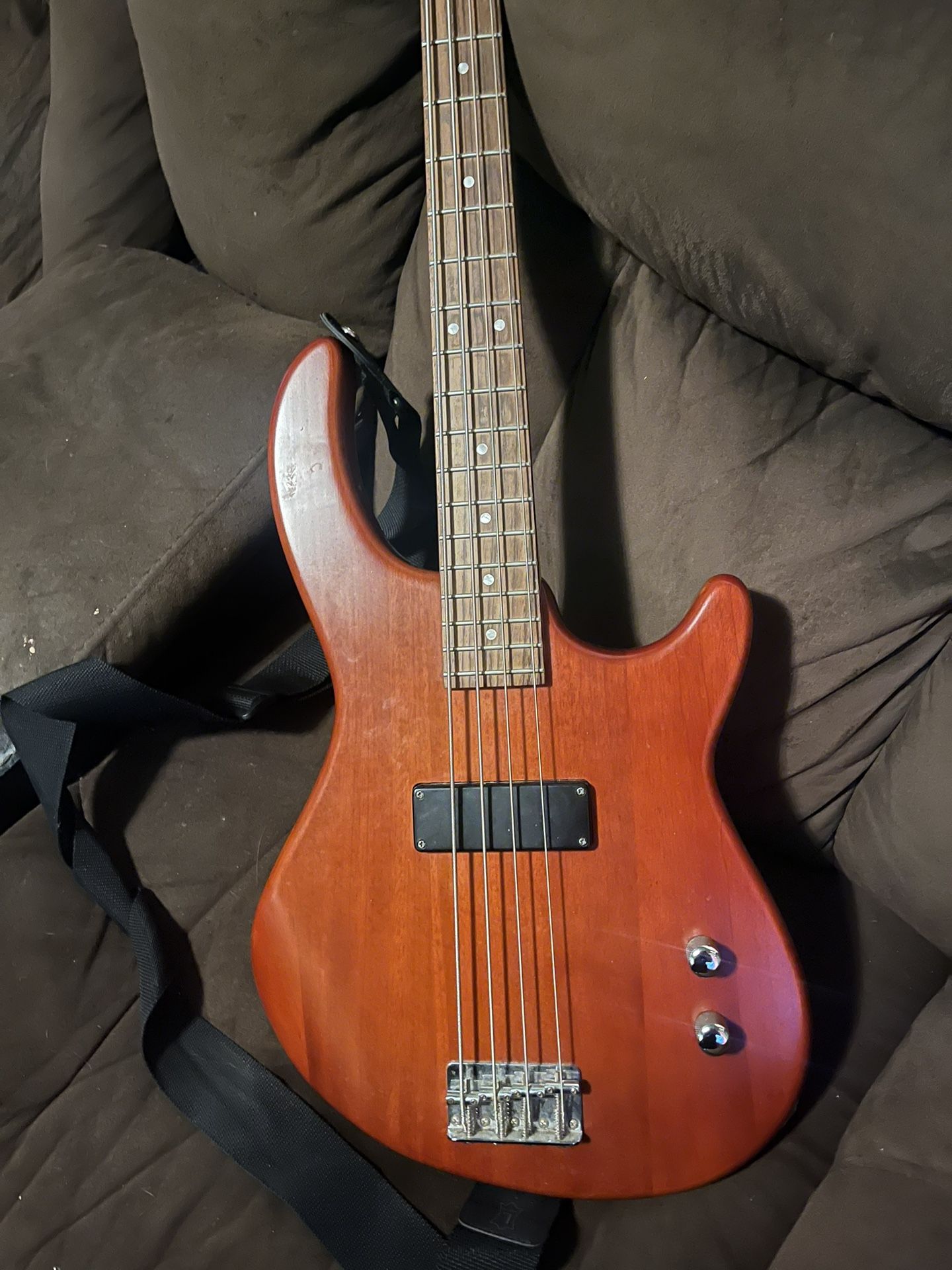 Bass guitar