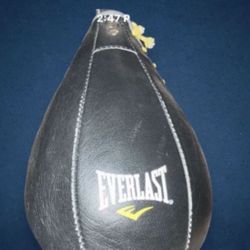 Everlast Platform Mount With Speed Bag